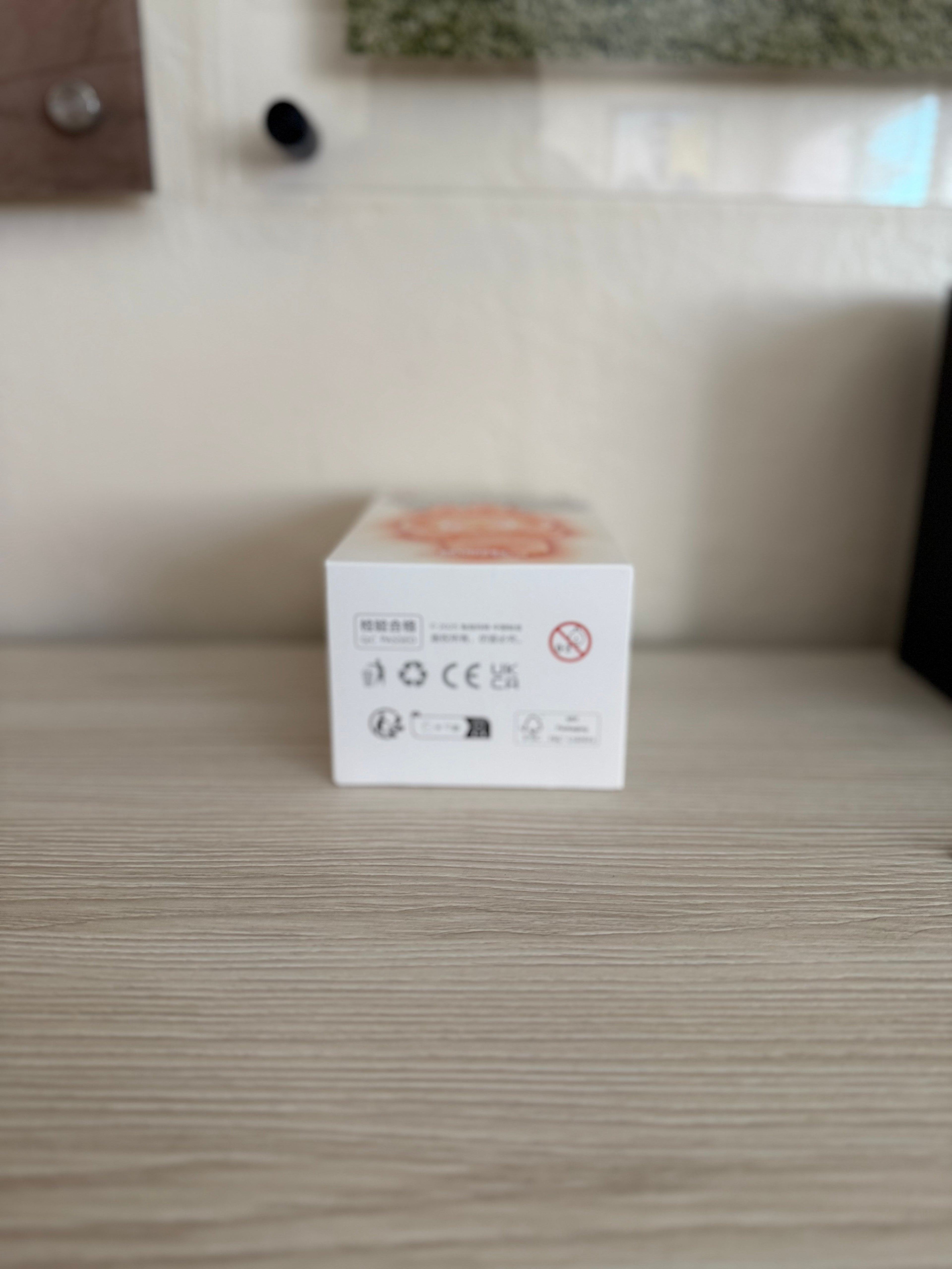 Labubu Big Into Energy